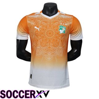 Ivory Coast Soccer Jersey Special Edition Orange 2026/2027