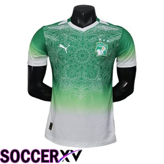Ivory Coast Soccer Jersey Special Edition Green 2026/2027