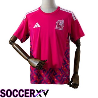 Mexico Goalkeeper Soccer Jersey Soccer World Cup 2026
