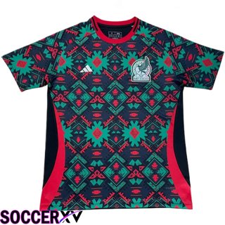 Mexico Soccer Jersey Away 2024/2025