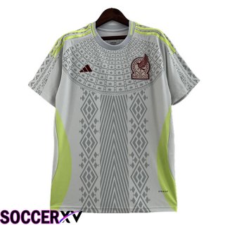 Mexico Nation Team Special Edition Grey 2023/2024