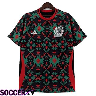 Mexico Nation Team Special Edition 2023/2024