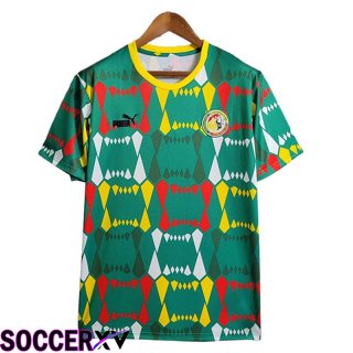 Senegal Nation Team Home 2023/2024