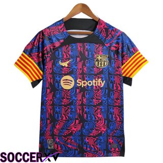 FC Barcelona Soccer Jersey 2 Special Edition 2023/2024