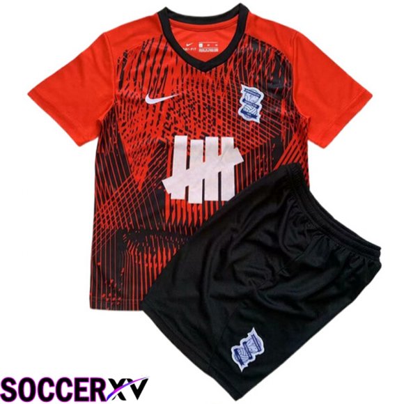 Birmingham City Kids Soccer Jersey Away 2023/2024