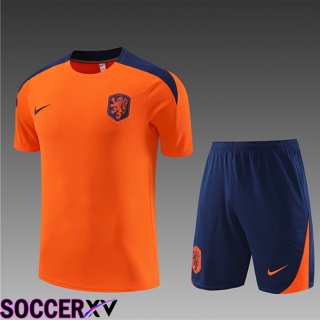 Pays-Bas Kids Training T Shirt + Shorts Orange 2023/2024