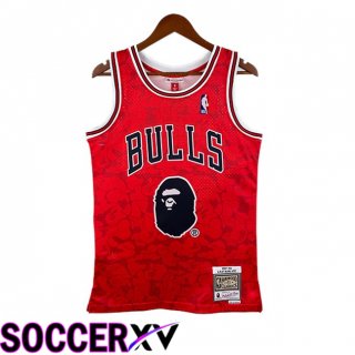 NBA Chicago Bulls BAPE Jersey Special Edition Red 2025/2026