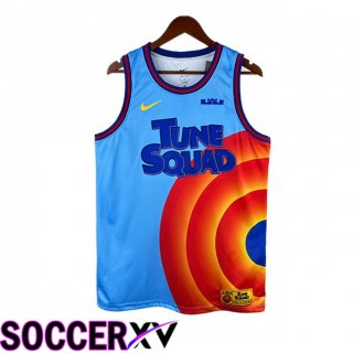 NBA Los Angeles Lakers (LeBron James 6)Jersey Special Edition Blue