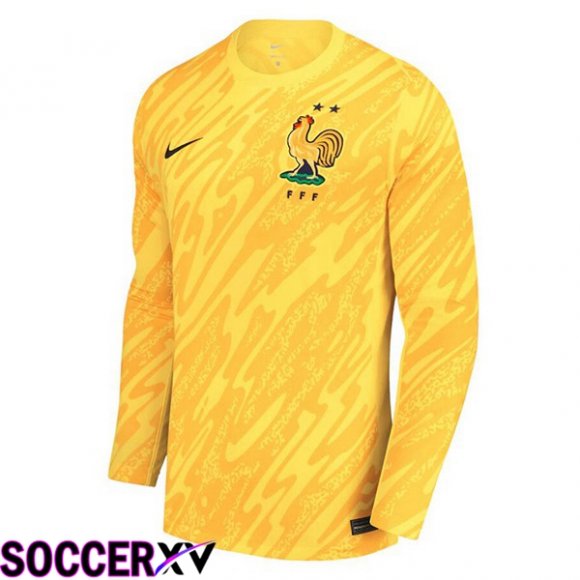 France Goalkeeper Soccer Jersey Long Sleeve Yellow UEFA Euro 2024