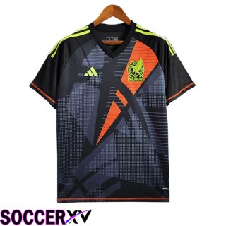 Mexico Goalkeeper Soccer Jersey Black 2024/2025