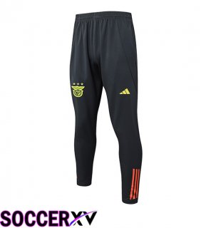 S.L Benfica Training Pants Grey 2025/2026