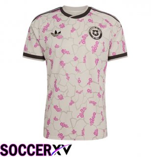 Chili Away Soccer Jersey Pink 2026/2027