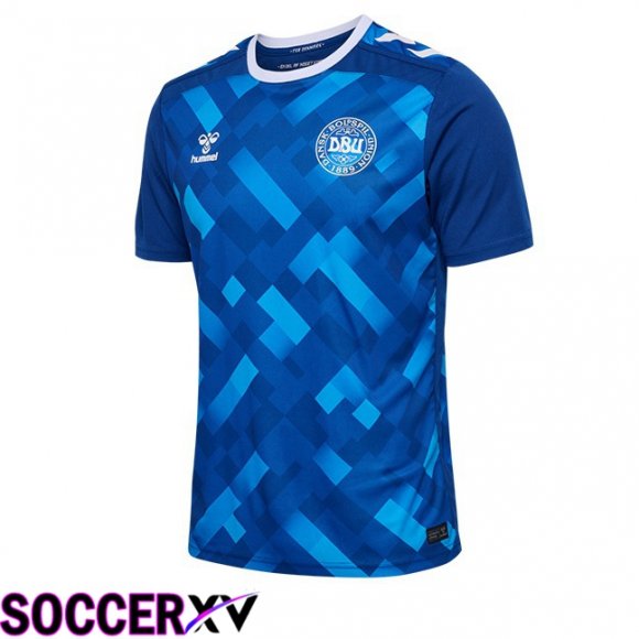 Denmark Goalkeeper Soccer Jersey Blue UEFA Euro 2024