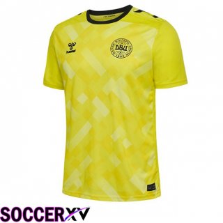 Denmark Goalkeeper Soccer Jersey Yellow 2024/2025