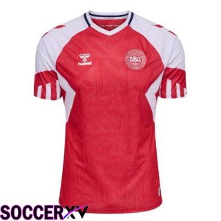 Denmark Soccer Jersey Home Red 2023/2024