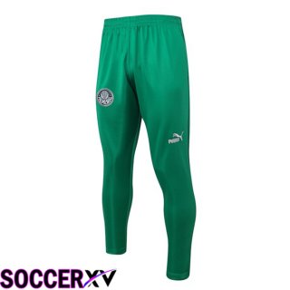 Palmeiras Training Pants Green 2023/2024