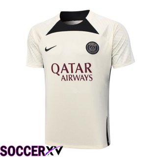 Paris PSG Training T Shirt Brown 2023/2024