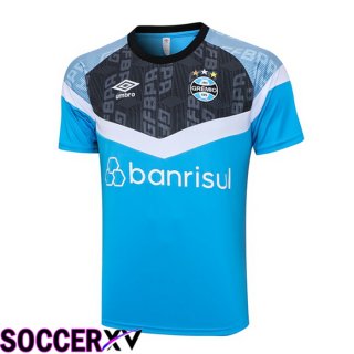 Gremio Training T Shirt Blue 2023/2024