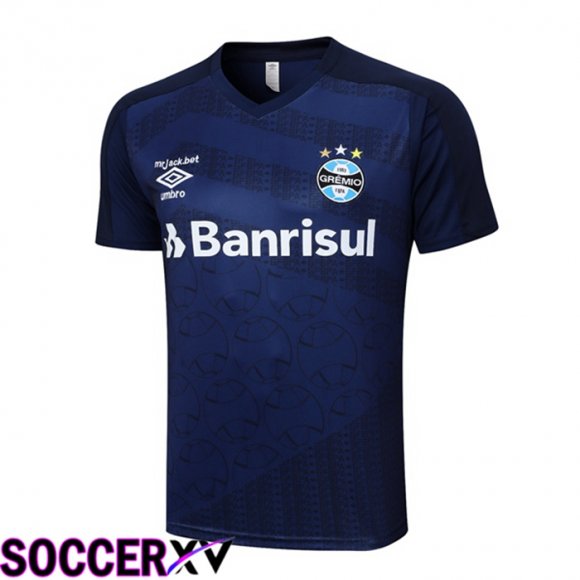 Gremio Training T Shirt Royal Blue 2023/2024