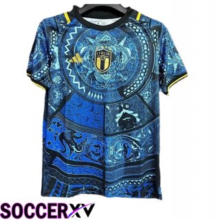 Italy Soccer Jersey Special Edition Blue 2024/2025