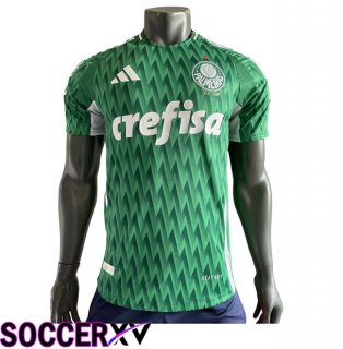 Palmeiras Soccer Jersey Special Edition Green 2024/2025