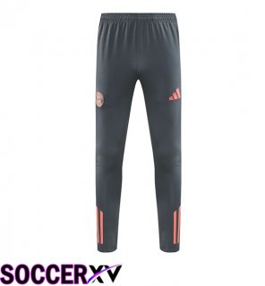 Bayern Munich Training Pants Grey 2025/2026