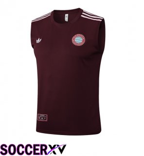 Bayern Munich Gilet Soccer Brown 2025/2026