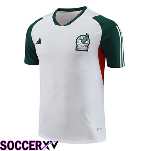 Mexico Training T Shirt White 2023/2024