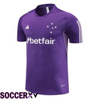 Cruzeiro EC Training T Shirt Purple 2023/2024