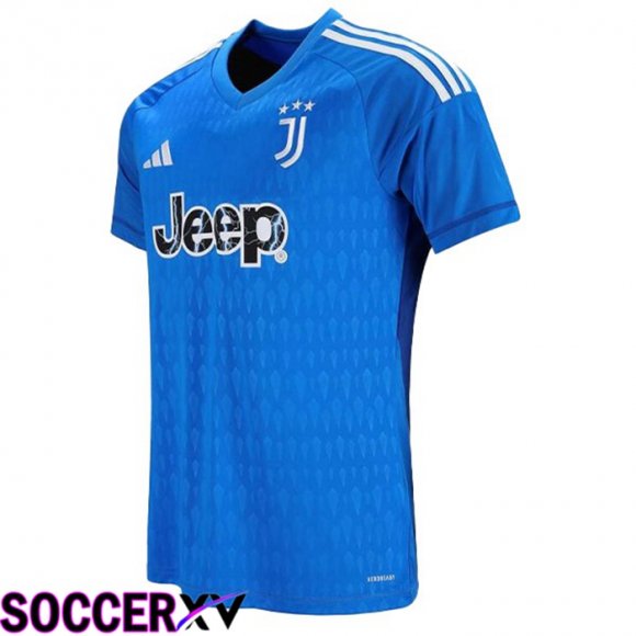 Juventus Soccer Jersey Goalkeeper Blue 2023/2024