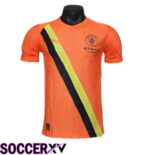 Manchester City Third Soccer Jersey 2025/2026