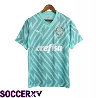 Palmeiras Goalkeeper Soccer Jersey Green 2024/2025