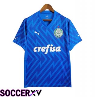 Palmeiras Goalkeeper Soccer Jersey Blue 2024/2025