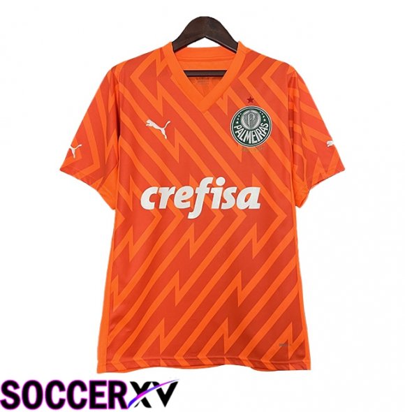 Palmeiras Goalkeeper Soccer Jersey Orange 2024/2025