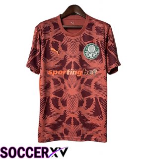 Palmeiras Goalkeeper Soccer Jersey Red 2025/2026