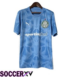 Palmeiras Goalkeeper Soccer Jersey Blue 2025/2026