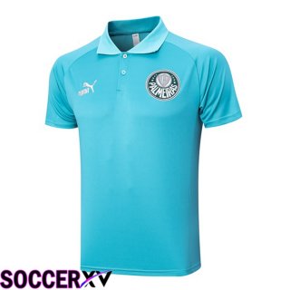 Palmeiras Soccer Polo Green 2023/2024