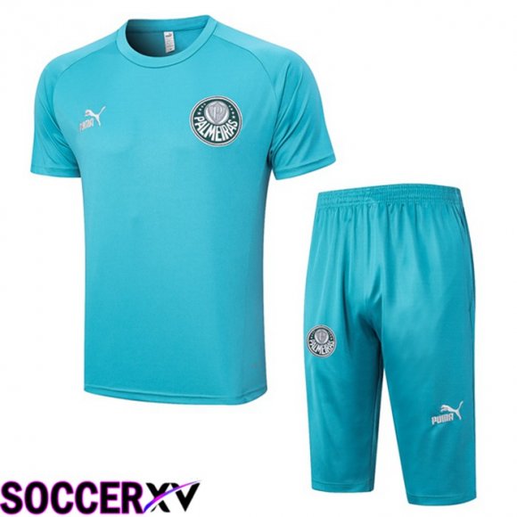 Palmeiras Training T Shirt + Shorts Cyan 2023/2024