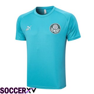 Palmeiras Training T Shirt Cyan 2023/2024