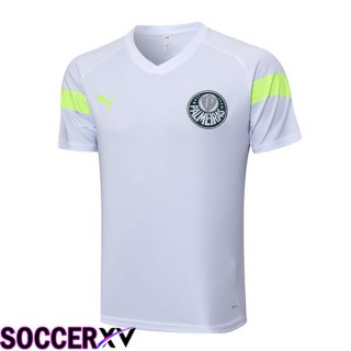 Palmeiras Training T Shirt White 2023/2024