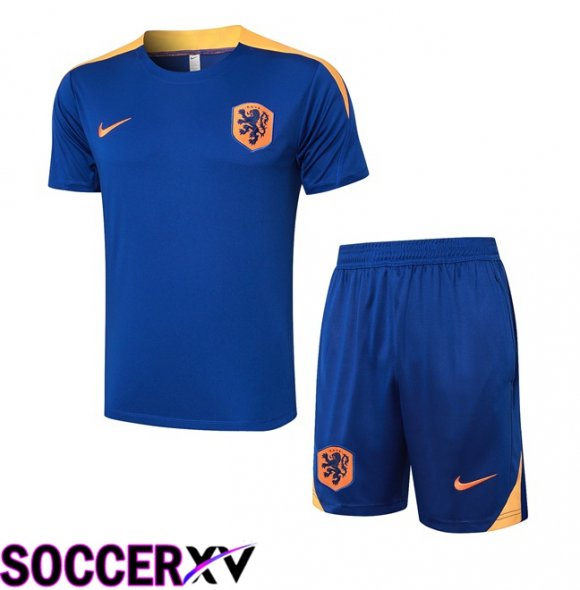 Netherlands kit Training T Shirt + Shorts Blue Royal 2024/2025