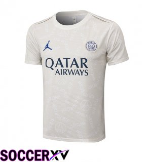 Jordan Paris PSG Training T Shirt Grey 2025/2026