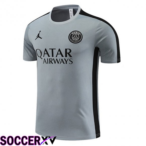 JORDAN Paris PSG Training T Shirt Grey 2023/2024