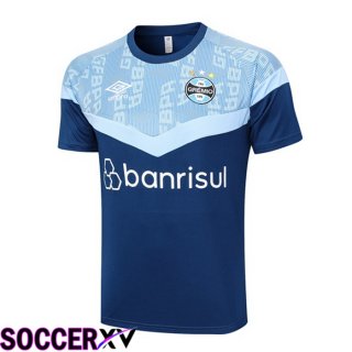 Gremio Training T Shirt Blue 2023/2024