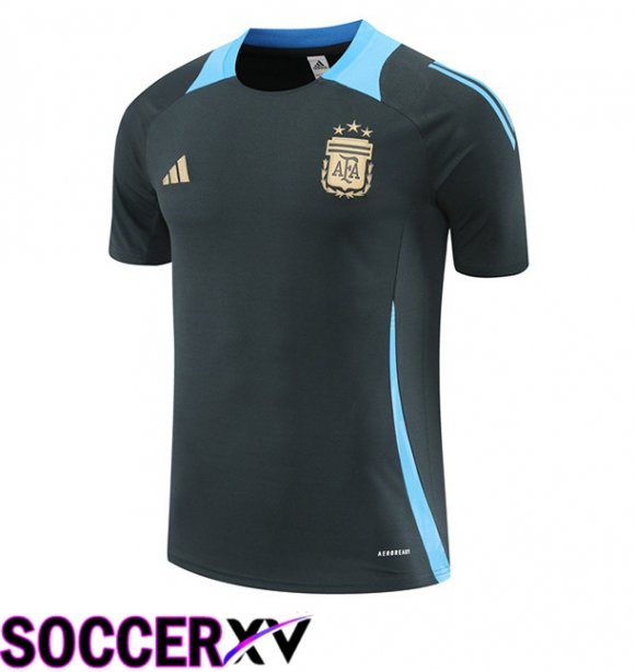 Argentina Training T Shirt Grey 2024/2025