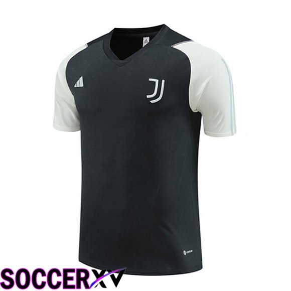 Juventus Training T Shirt Grey 2023/2024