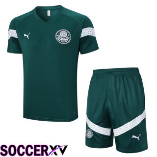 Palmeiras Training T Shirt + Shorts Green 2023/2024