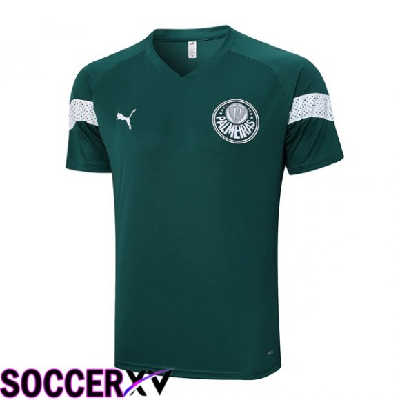 Palmeiras Training T Shirt Green 2023/2024