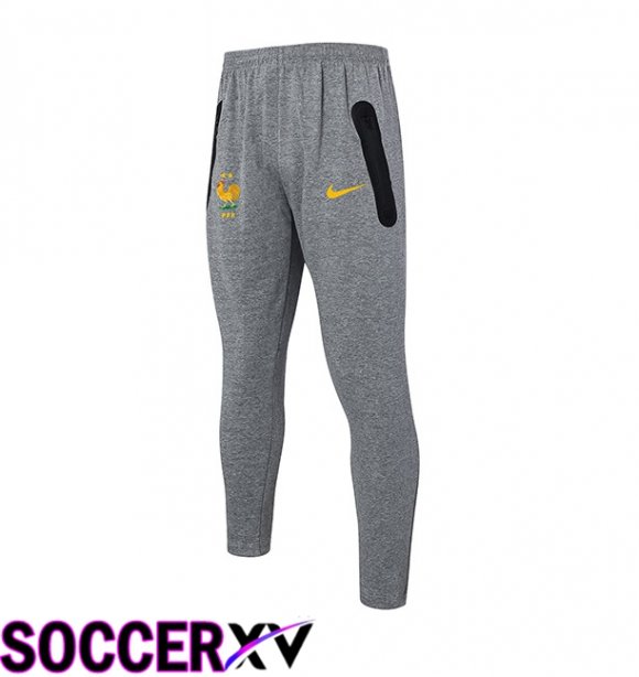 France Training Pants Grey 2024/2025