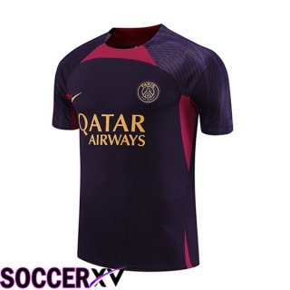 Paris PSG Training T Shirt Purple 2023/2024